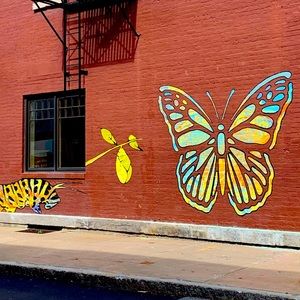 Meet your Posher, Diana